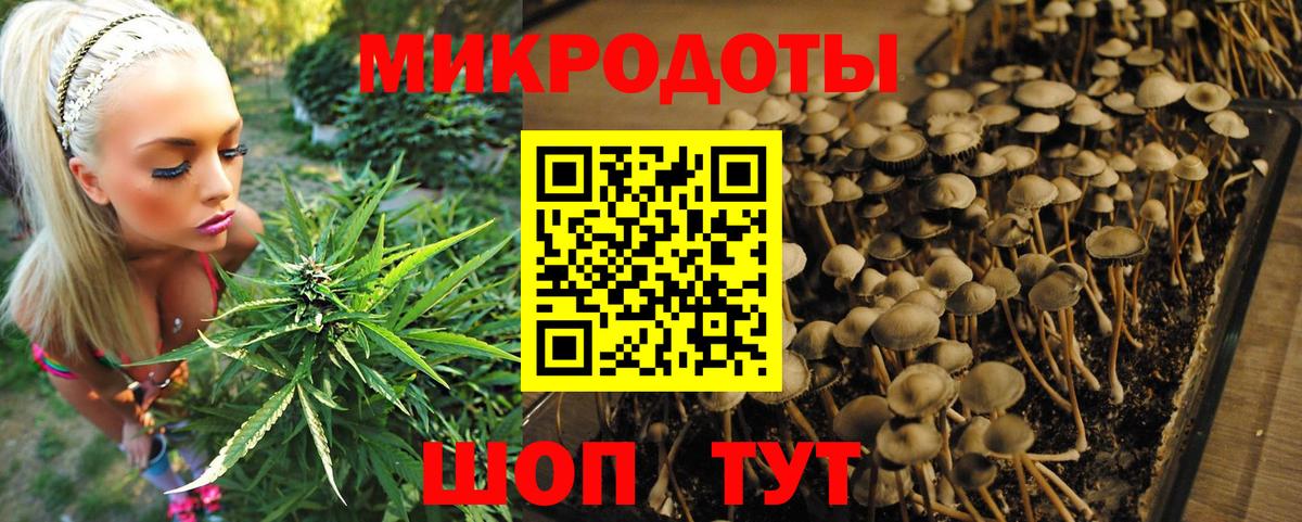 даркнет сайт  Галлюциногенные грибы мухоморы  Вход с VPN  Лабытнанги 